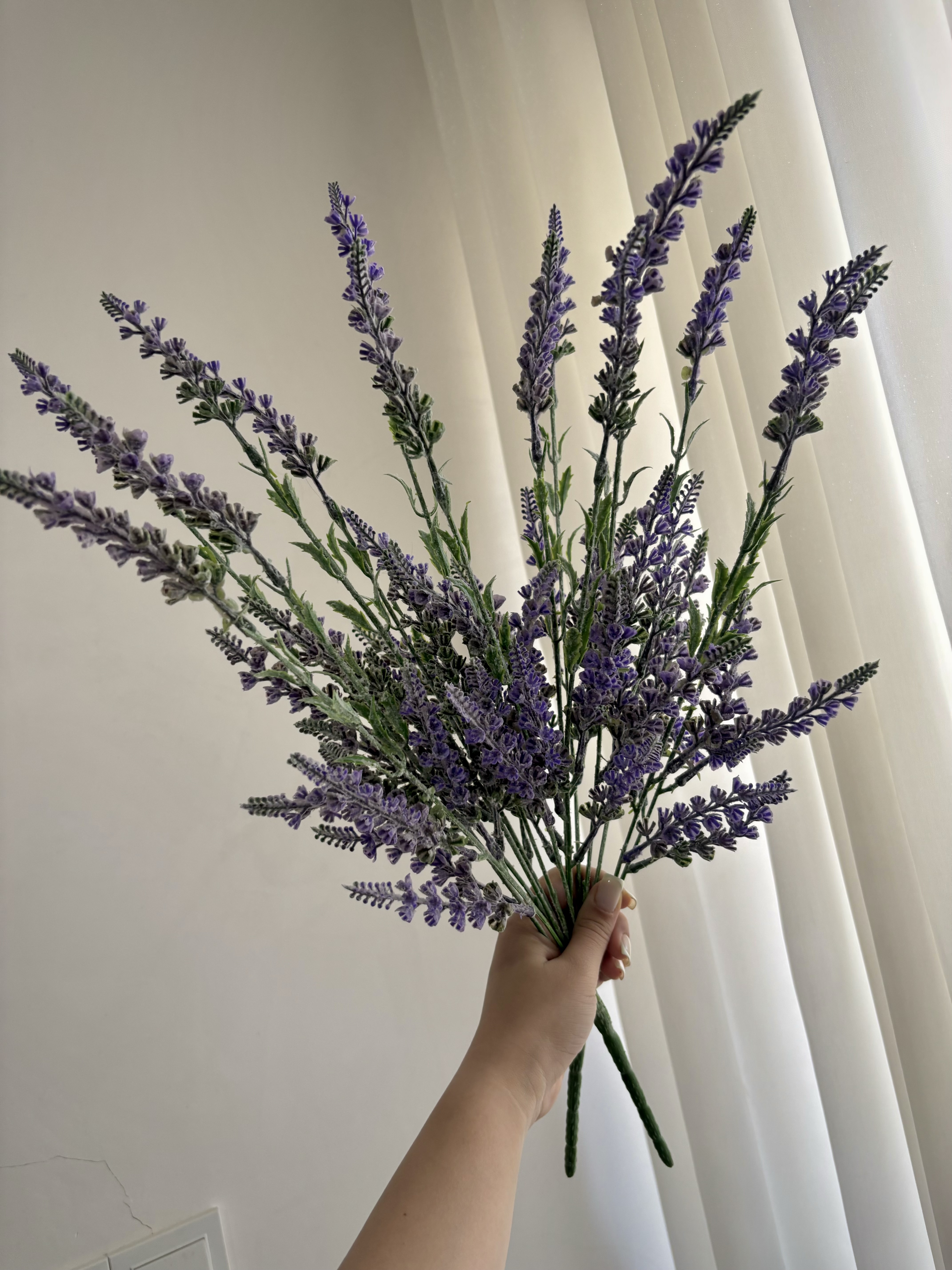 گل لوندر